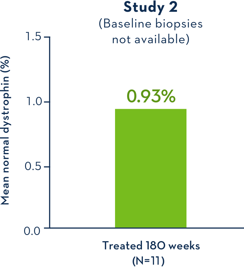 EXONDYS 51 Dystrophin Levels in Muscle Tissue