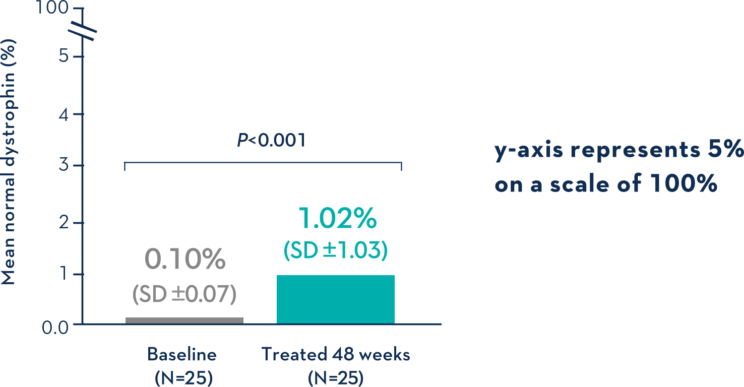 VYONDYS 53 Dystrophin Levels over baseline chart