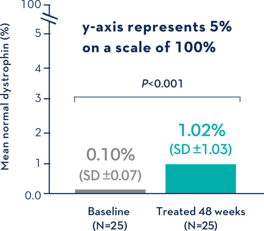 VYONDYS 53 Dystrophin Levels over baseline chart